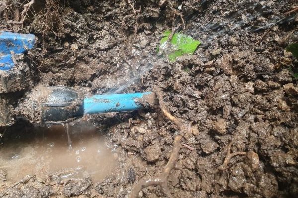 Water Mains Leak Detection Haslemere
